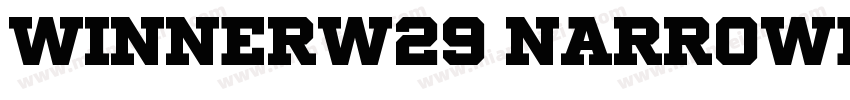 WinnerW29 NarrowBold Regular字体转换